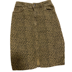 Zara Denim Midi Skirt